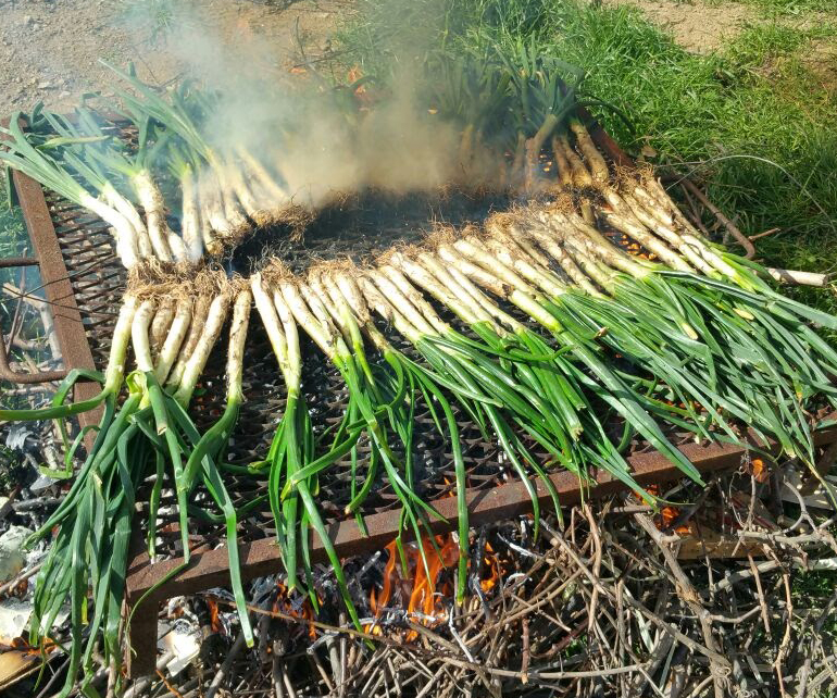 botiga eco