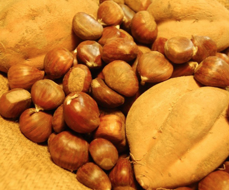 botiga bio